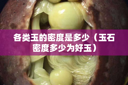 各类玉的密度是多少（玉石密度多少为好玉）