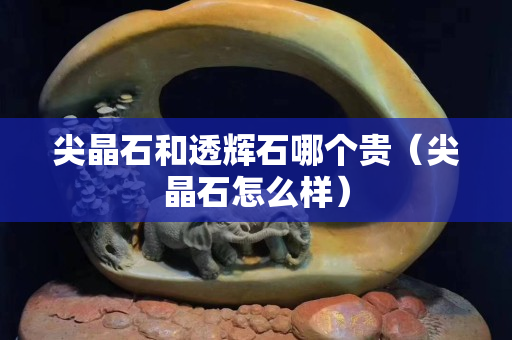 尖晶石和透辉石哪个贵（尖晶石怎么样）