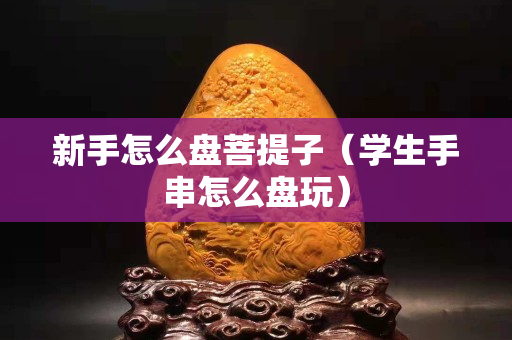 新手怎么盘菩提子（学生手串怎么盘玩）