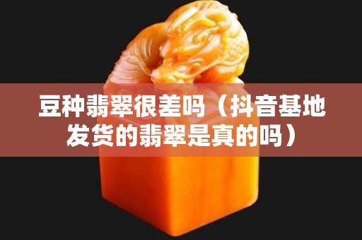 豆种翡翠很差吗（抖音基地发货的翡翠是真的吗）