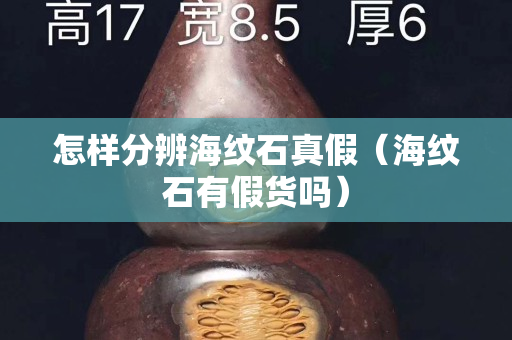 怎样分辨海纹石真假（海纹石有假货吗）