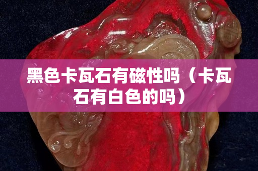 黑色卡瓦石有磁性吗（卡瓦石有白色的吗）