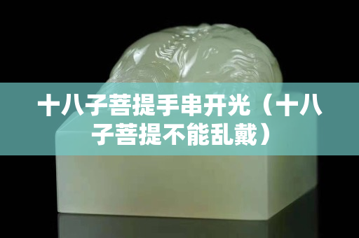 十八子菩提手串开光（十八子菩提不能乱戴）