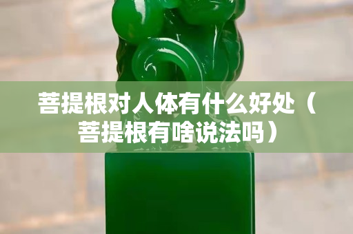 菩提根对人体有什么好处（菩提根有啥说法吗）