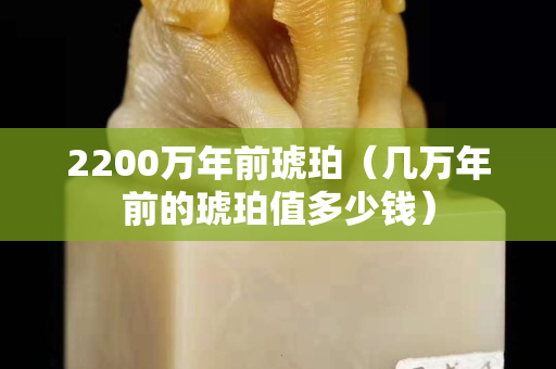 2200万年前琥珀（几万年前的琥珀值多少钱）