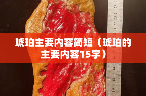 琥珀主要内容简短（琥珀的主要内容15字）