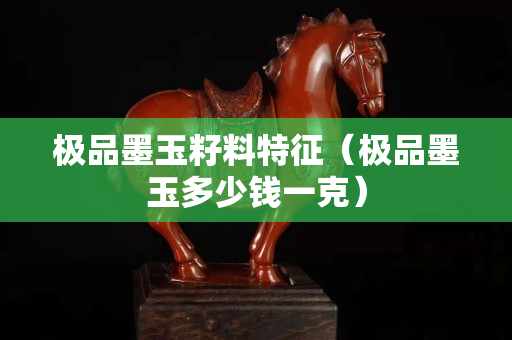 极品墨玉籽料特征（极品墨玉多少钱一克）