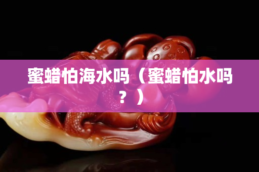 蜜蜡怕海水吗（蜜蜡怕水吗？）