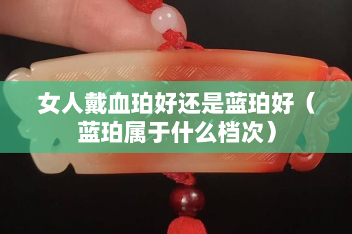 女人戴血珀好还是蓝珀好（蓝珀属于什么档次）