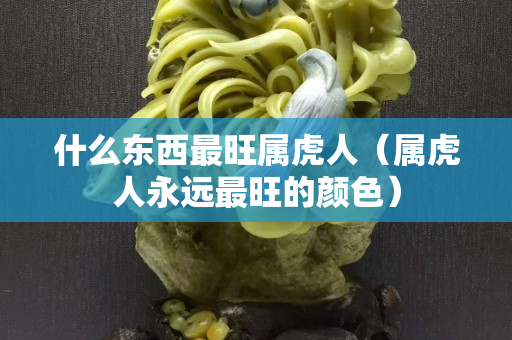 什么东西最旺属虎人（属虎人永远最旺的颜色）