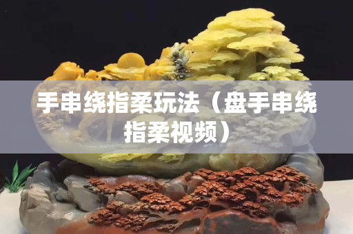 手串绕指柔玩法（盘手串绕指柔视频）
