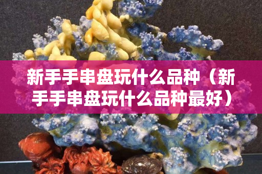 新手手串盘玩什么品种（新手手串盘玩什么品种最好）