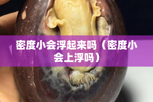 密度小会浮起来吗（密度小会上浮吗）