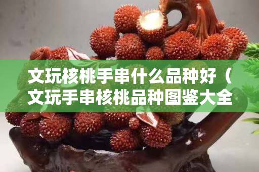 文玩核桃手串什么品种好（文玩手串核桃品种图鉴大全）