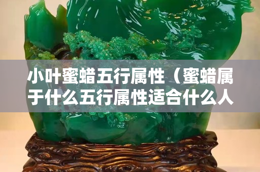 小叶蜜蜡五行属性（蜜蜡属于什么五行属性适合什么人佩戴琥珀蜜蜡宝阁）