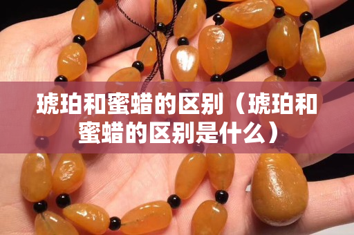 琥珀和蜜蜡的区别（琥珀和蜜蜡的区别是什么）