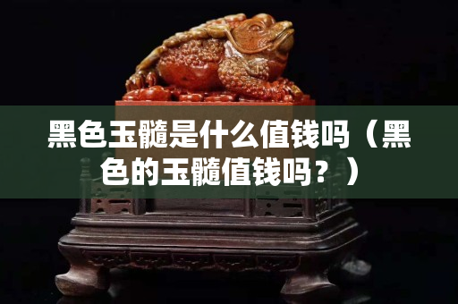 黑色玉髓是什么值钱吗（黑色的玉髓值钱吗？）