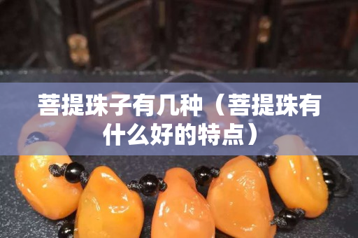 菩提珠子有几种（菩提珠有什么好的特点）