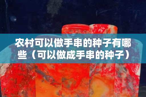 农村可以做手串的种子有哪些（可以做成手串的种子）