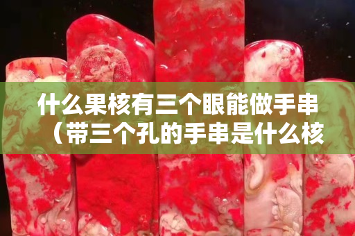 什么果核有三个眼能做手串（带三个孔的手串是什么核儿）