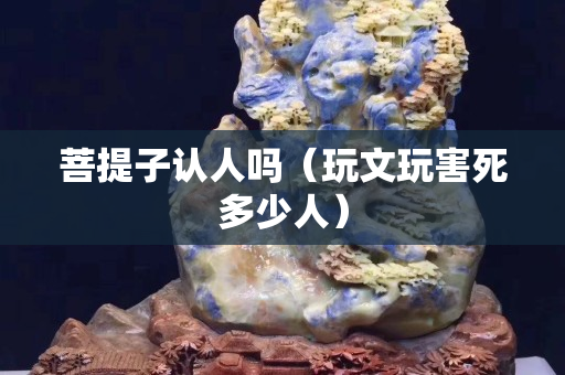 菩提子认人吗（玩文玩害死多少人）