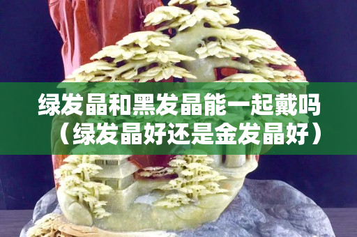 绿发晶和黑发晶能一起戴吗（绿发晶好还是金发晶好）