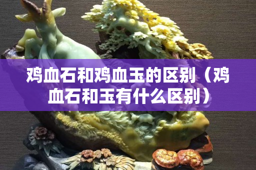 鸡血石和鸡血玉的区别（鸡血石和玉有什么区别）