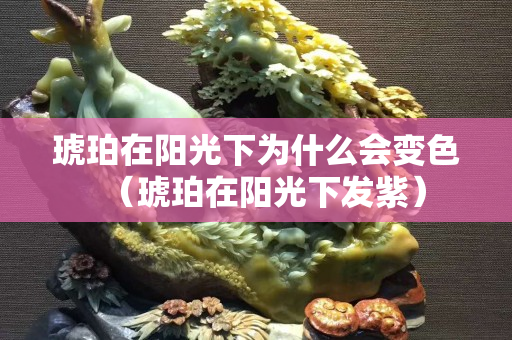 琥珀在阳光下为什么会变色（琥珀在阳光下发紫）