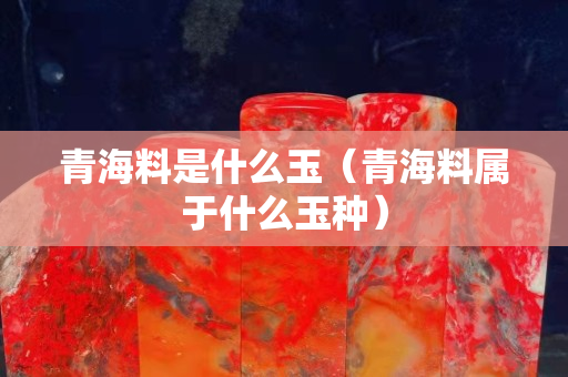 青海料是什么玉（青海料属于什么玉种）