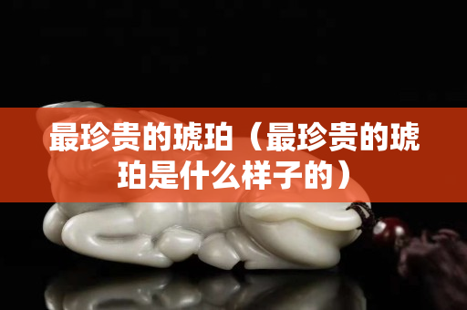 最珍贵的琥珀（最珍贵的琥珀是什么样子的）