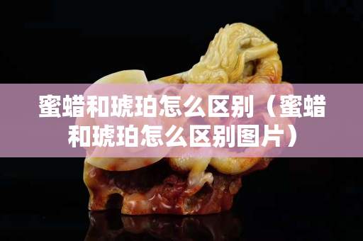 蜜蜡和琥珀怎么区别（蜜蜡和琥珀怎么区别图片）