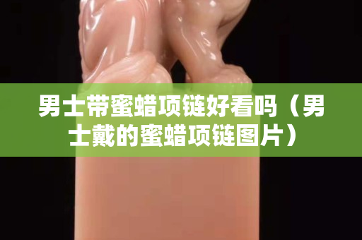 男士带蜜蜡项链好看吗（男士戴的蜜蜡项链图片）