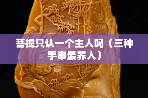 菩提只认一个主人吗（三种手串最养人）