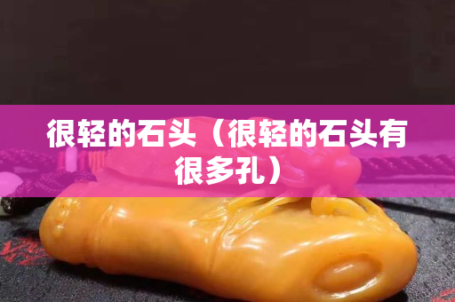 很轻的石头（很轻的石头有很多孔）