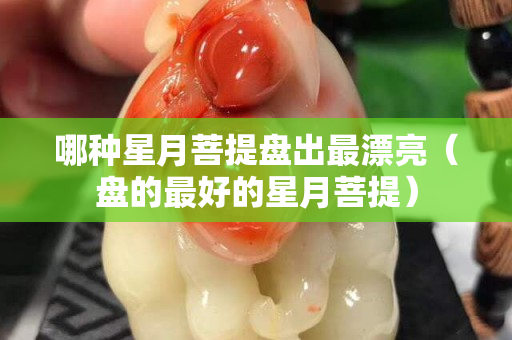 哪种星月菩提盘出最漂亮（盘的最好的星月菩提）