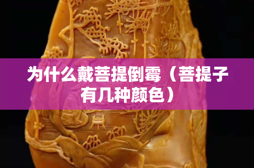 为什么戴菩提倒霉（菩提子有几种颜色）