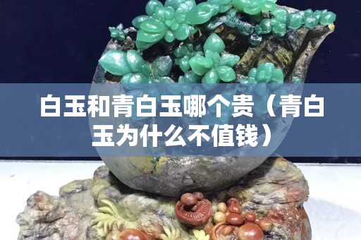 白玉和青白玉哪个贵（青白玉为什么不值钱）