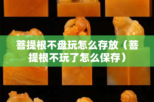 菩提根不盘玩怎么存放（菩提根不玩了怎么保存）