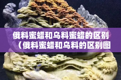 俄料蜜蜡和乌料蜜蜡的区别（俄料蜜蜡和乌料的区别图片）