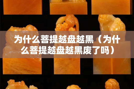 为什么菩提越盘越黑（为什么菩提越盘越黑废了吗）