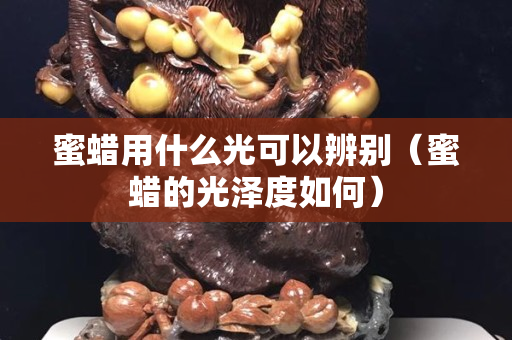 蜜蜡用什么光可以辨别（蜜蜡的光泽度如何）