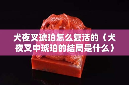 犬夜叉琥珀怎么复活的（犬夜叉中琥珀的结局是什么）