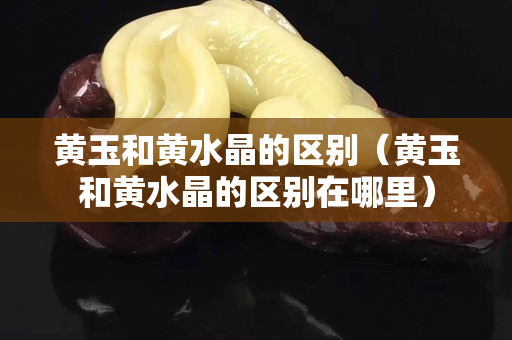 黄玉和黄水晶的区别（黄玉和黄水晶的区别在哪里）
