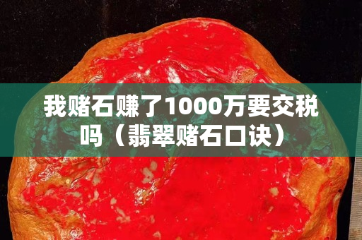 我赌石赚了1000万要交税吗（翡翠赌石口诀）