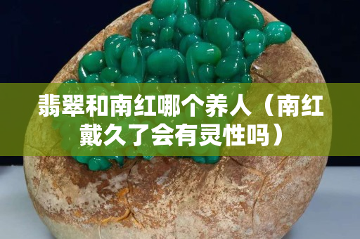 翡翠和南红哪个养人（南红戴久了会有灵性吗）