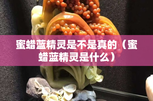 蜜蜡蓝精灵是不是真的（蜜蜡蓝精灵是什么）