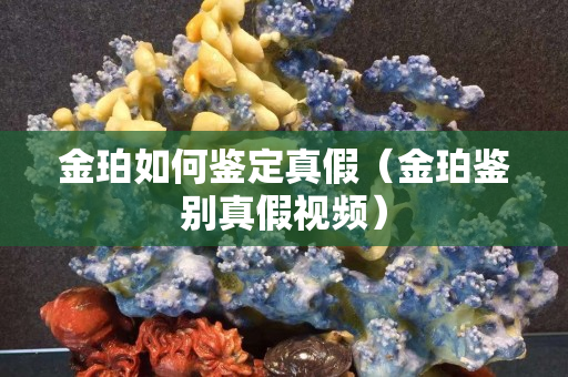 金珀如何鉴定真假（金珀鉴别真假视频）