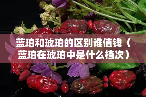 蓝珀和琥珀的区别谁值钱（蓝珀在琥珀中是什么档次）