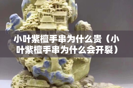 小叶紫檀手串为什么贵（小叶紫檀手串为什么会开裂）