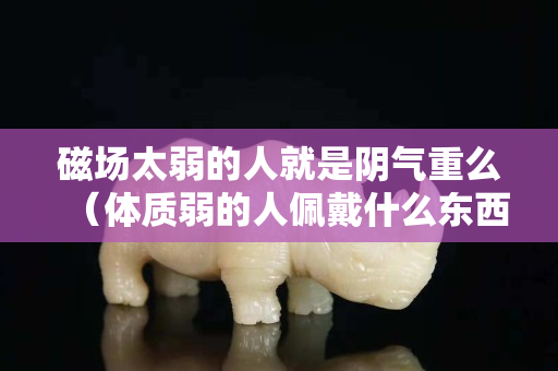 磁场太弱的人就是阴气重么（体质弱的人佩戴什么东西能辟邪）